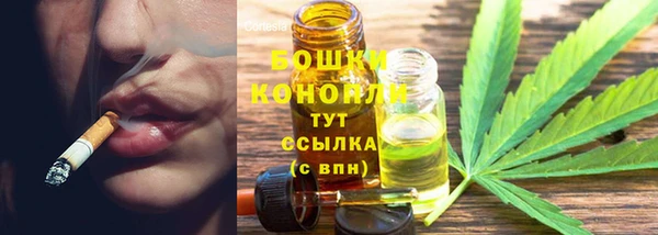 шишки Нязепетровск