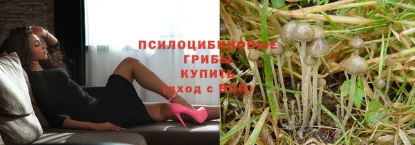 дурь Абаза