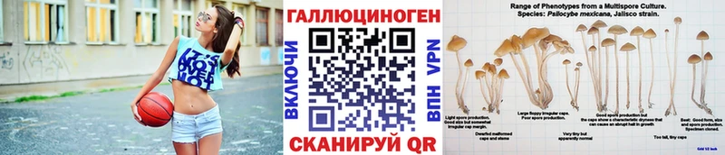 blacksprut как войти  Кириллов  Псилоцибиновые грибы MAGIC MUSHROOMS 